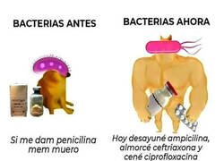 Enlace a Las bacterias evolucionan