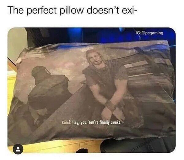 Meme_otros - La almohada perfecta