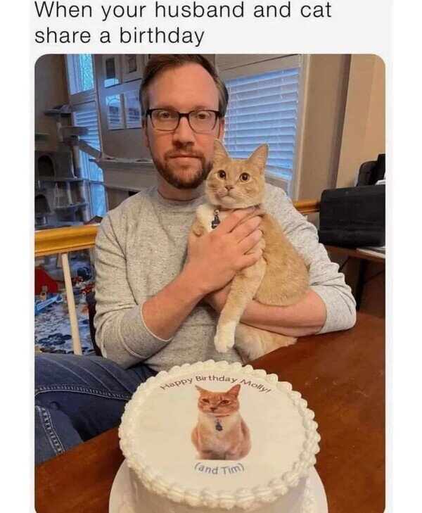 Meme_otros - Cuando es el cumpleaños de tu gato y de tu marido al mismo tiempo