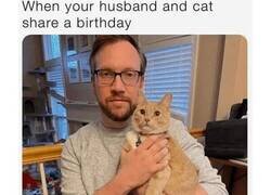Enlace a Cuando es el cumpleaños de tu gato y de tu marido al mismo tiempo