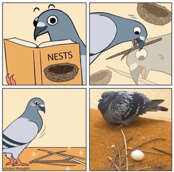 Meme_otros - Aprendiendo a hacer nidos