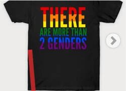 Enlace a ¿De qué género quiere la camiseta contra los géneros?