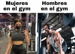 Enlace a Mujeres y hombres en el gym