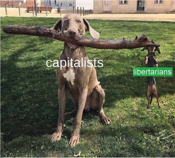 agarrar,capitalistas,comunistas,perros