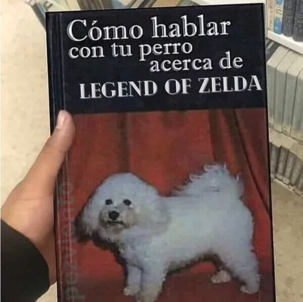 hablar,libro,perro,Zelda