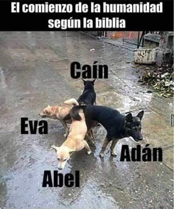 Abel,Adan,biblia,Cain,Eva,perros