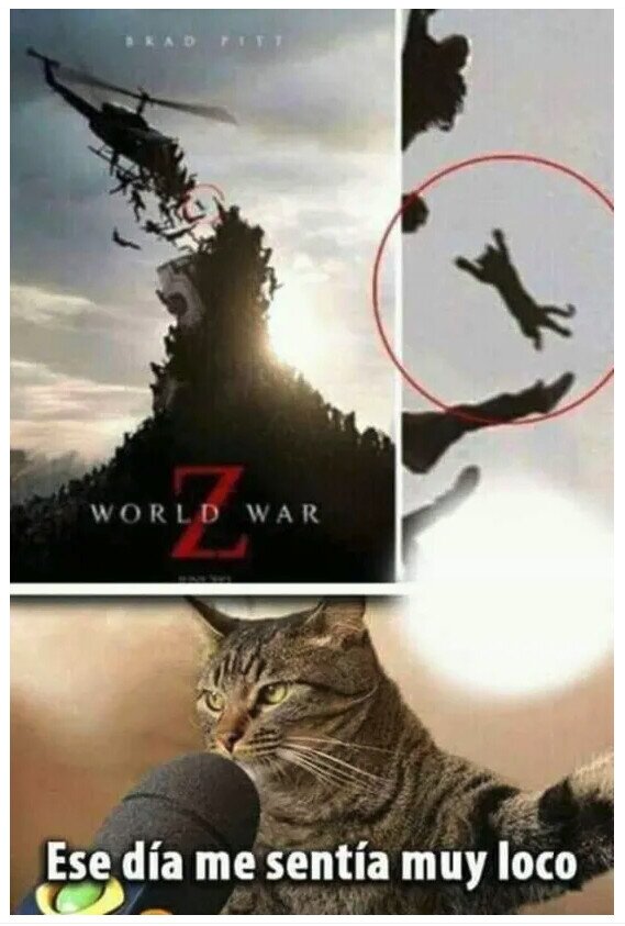 Meme_otros - El gato de World War Z
