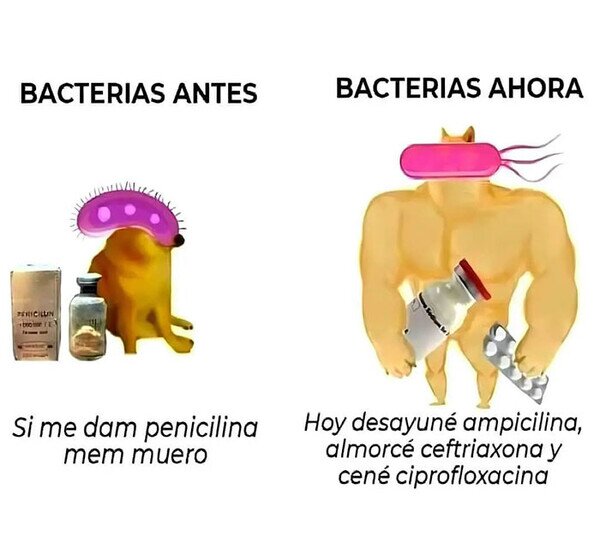 Meme_otros - Cuando se vuelven inmunes a los antibióticos