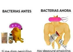 Enlace a Cuando se vuelven inmunes a los antibióticos