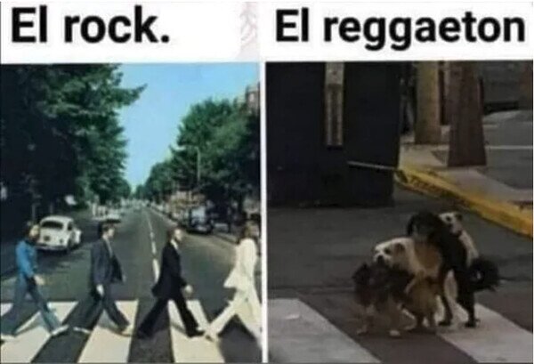 beatles,perros,reggaeton,rock