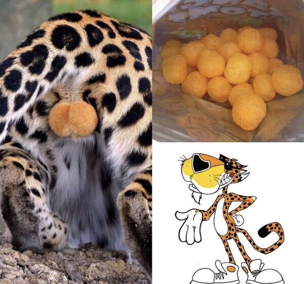 Meme_otros - El origen de los Cheetos