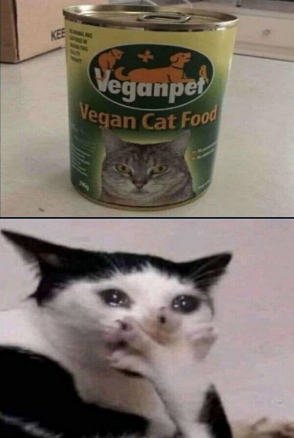 Meme_otros - La comida de gato vegana que los gatos odiarán