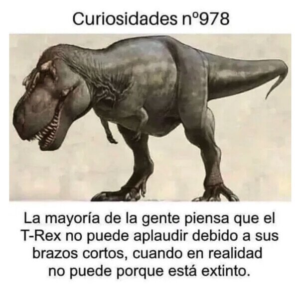 aplaudir,curiosidad,extinción,T Rex