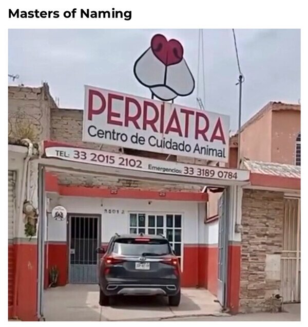 masters,naming,Perriatra,veterinario