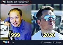 Enlace a Elon Musk dejó de programar