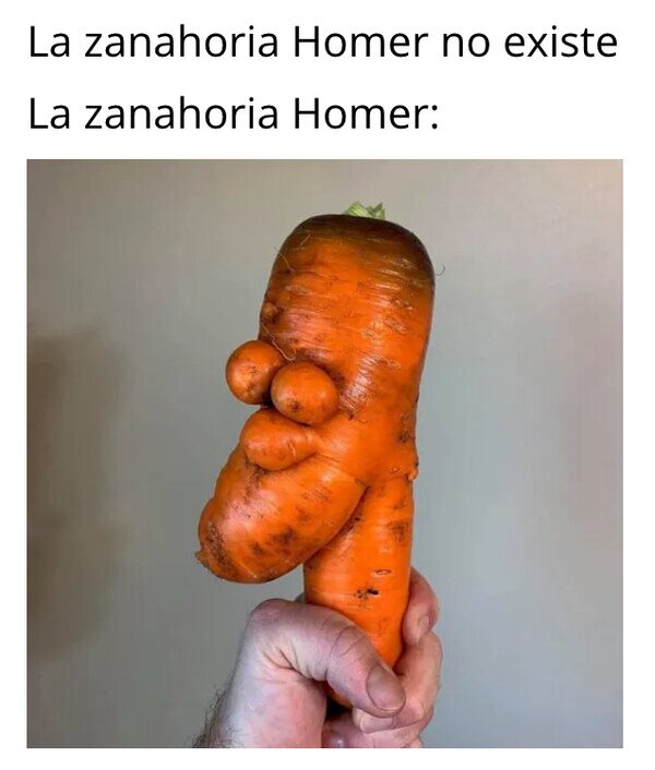 Meme_otros - Zanahoria Homer