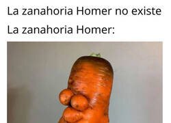 Enlace a Zanahoria Homer