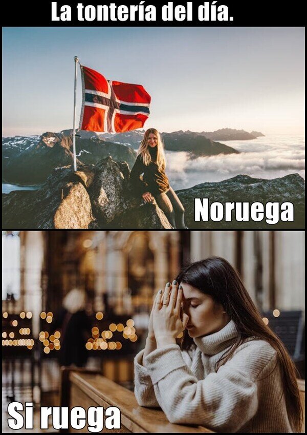 Noruega,rogar,tontería