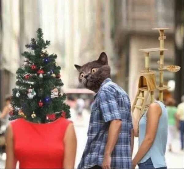 árbol,gato,navidad