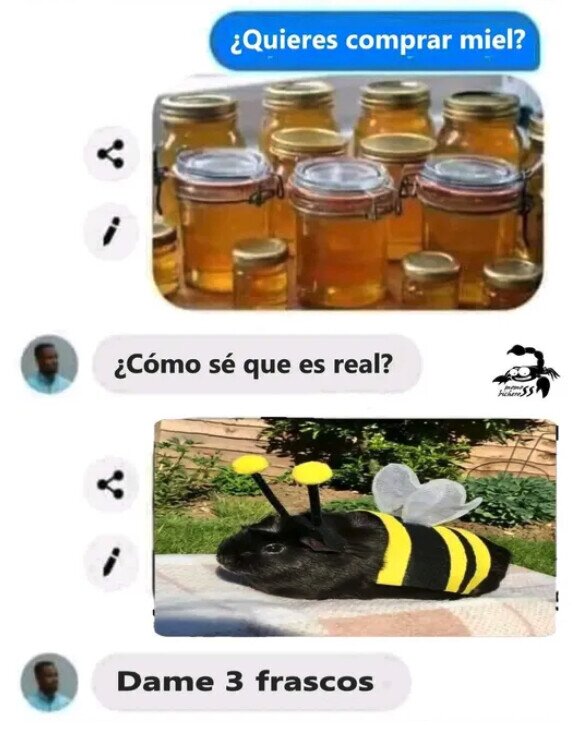 abeja,conejo,miel,real,wtf