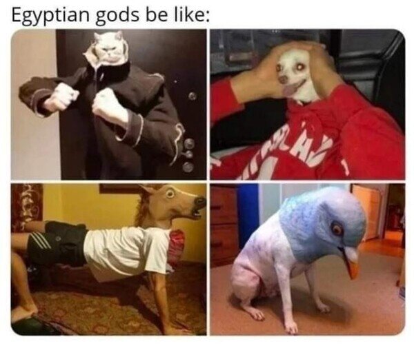 Meme_otros - Dioses egipcios