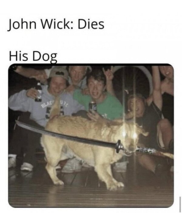 John Wick,muerte,perro,venganza
