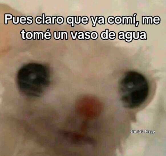 Lol agua hotsell fria