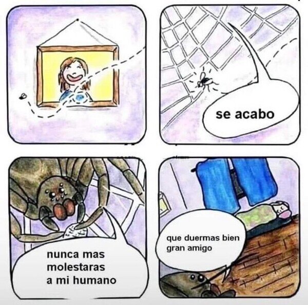Meme_otros - Y tú odiando a las arañas