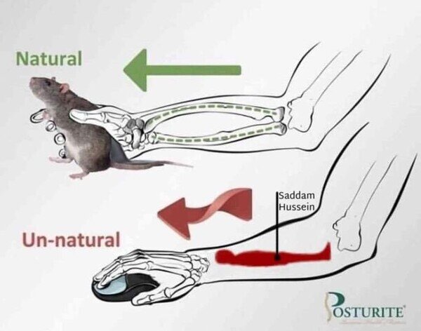Meme_otros - Cómo agarrar un ratón de forma natural