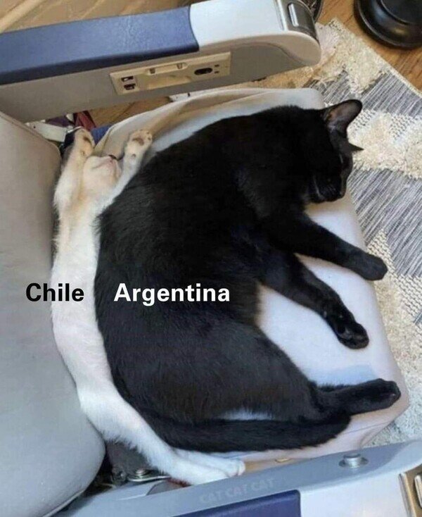 Argentina,Chile,gatos,geografía,países