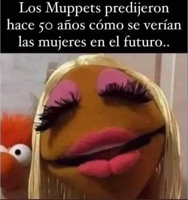 Meme_otros - Los Muppets también predicen el futuro