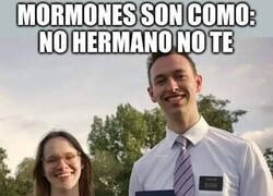 Enlace a Mormones, asi son