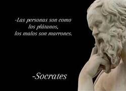 Enlace a Sócrates era racista
