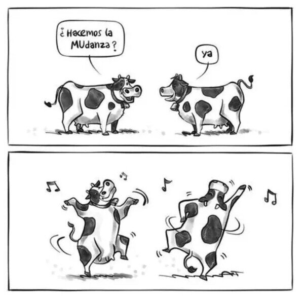 danza,mudanza,vacas