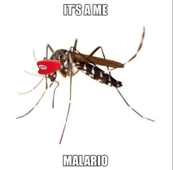 Meme_otros - Super Mosquito Bros