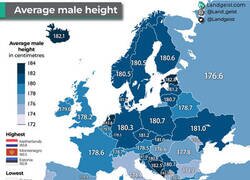 Enlace a La altura media en Europa por países