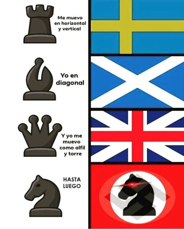 Meme_otros - Movimientos de ajedrez explicados con banderas