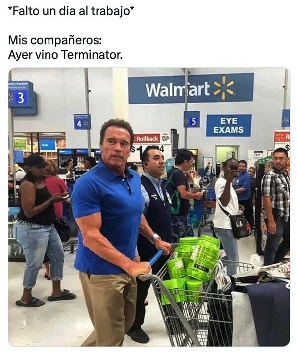 Arnold Schwarzenegger,supermercado,Terminator,trabajo