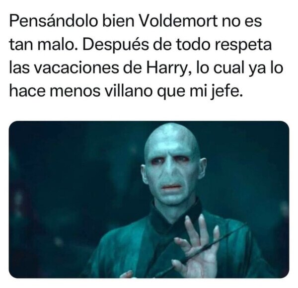 Harry Potter,jefe,respetar,vacaciones,villano,Voldemort