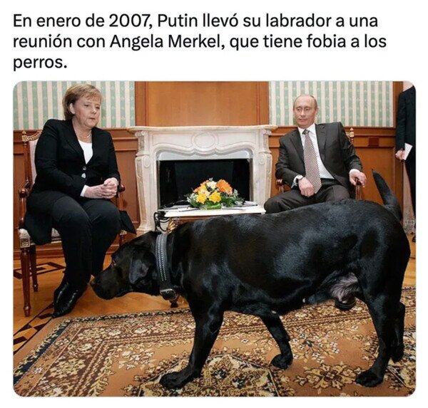 fobia,Merkel,perros,Putin
