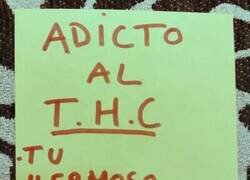 Enlace a Soy adicto al THC