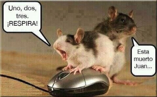 mouse,muerto,ratones