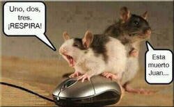 Enlace a Cosas de ratones