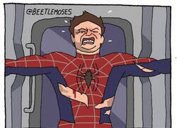 Enlace a Estúpido y sensual Spiderman
