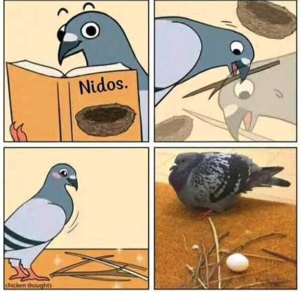 Meme_otros - Cómo hacer un nido