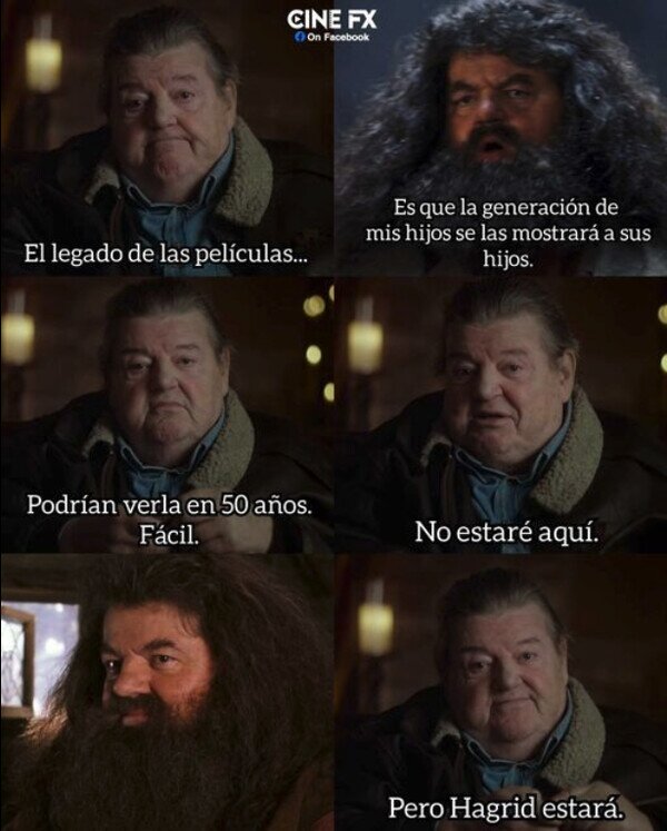 Meme_otros - Hagrid siempre perdurará