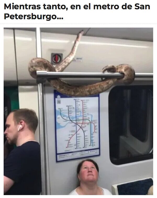 metro,Rusia,serpiente,St Petesburgo