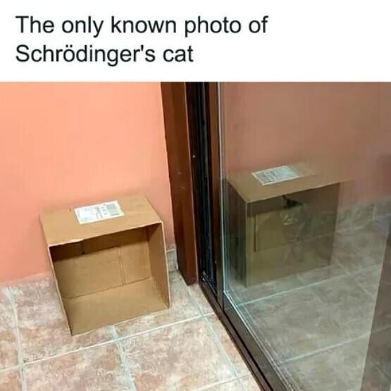 Meme_otros - La única foto que existe del Gato de Schrodinger