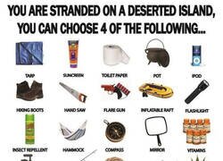 Enlace a ¿Qué 4 cosas te llevarías a una isla desierta?