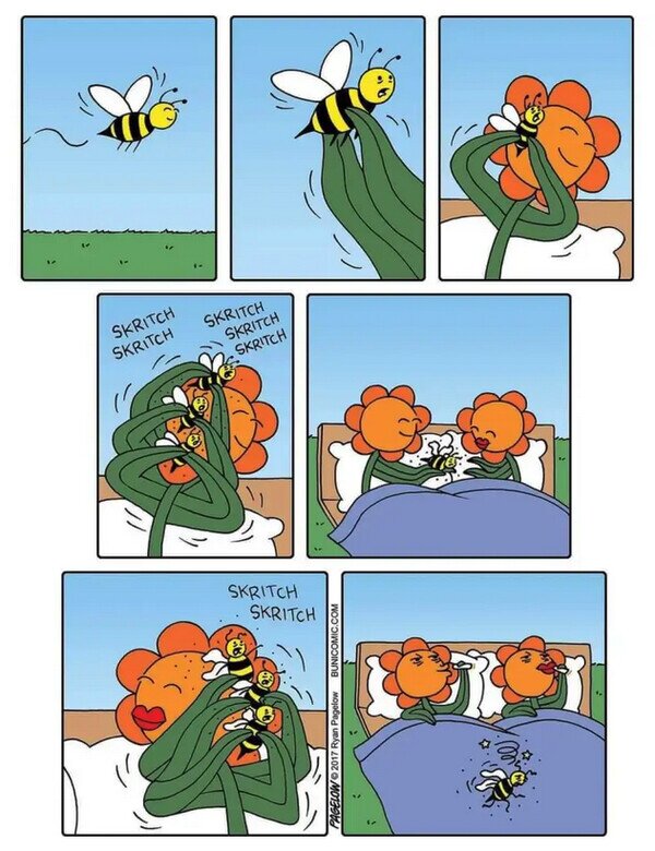 abejas,cama,flores,polen
